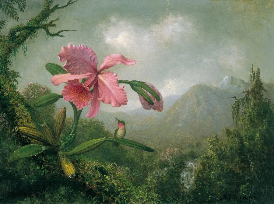 Orkide ve kolibri dağ şelalesi yakınında - Martin Johnson Heade