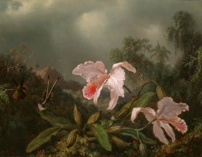 Orman Orkideleri ve Kolibriler - Martin Johnson Heade
