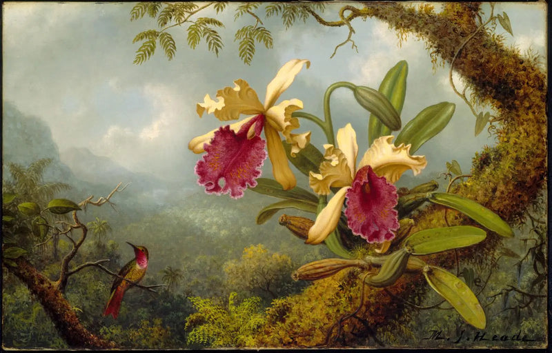 Orkide ve kolibri - Martin Johnson Heade