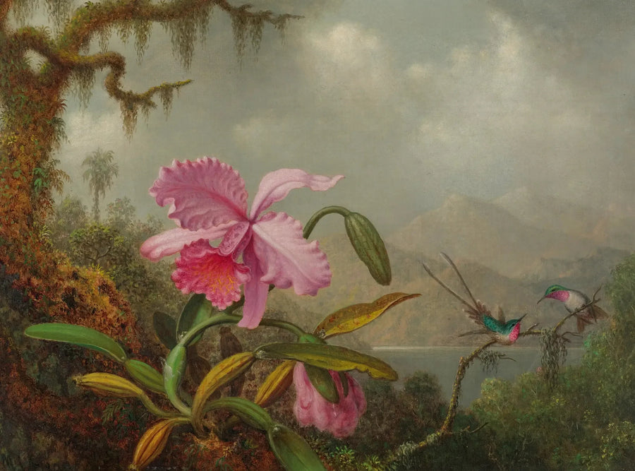 Orkide ve kolibri - Martin Johnson Heade