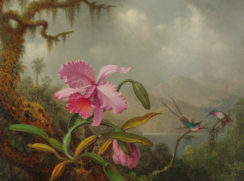Orkide ve kolibri - Martin Johnson Heade