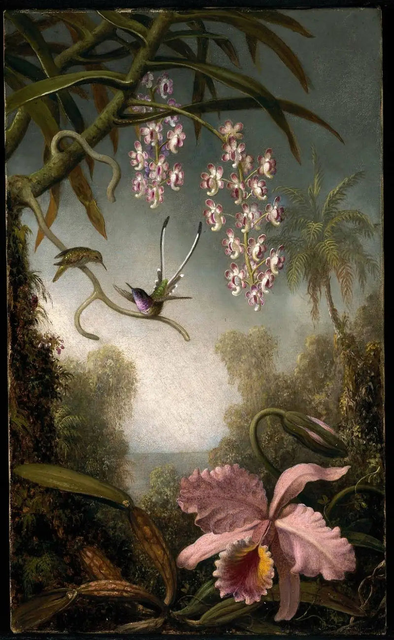 Orkide ve sprey orkideler ile kolibri - Martin Johnson Heade