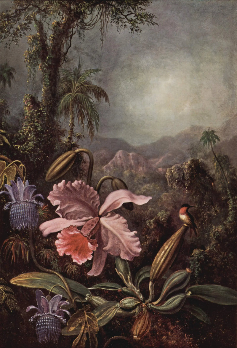 Orkide, passiflor ve kolibri - Martin Johnson Heade
