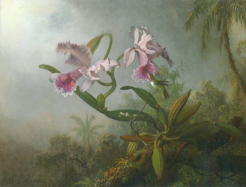 Pembe Orkide ve Kolibri Dalında - Martin Johnson Heade