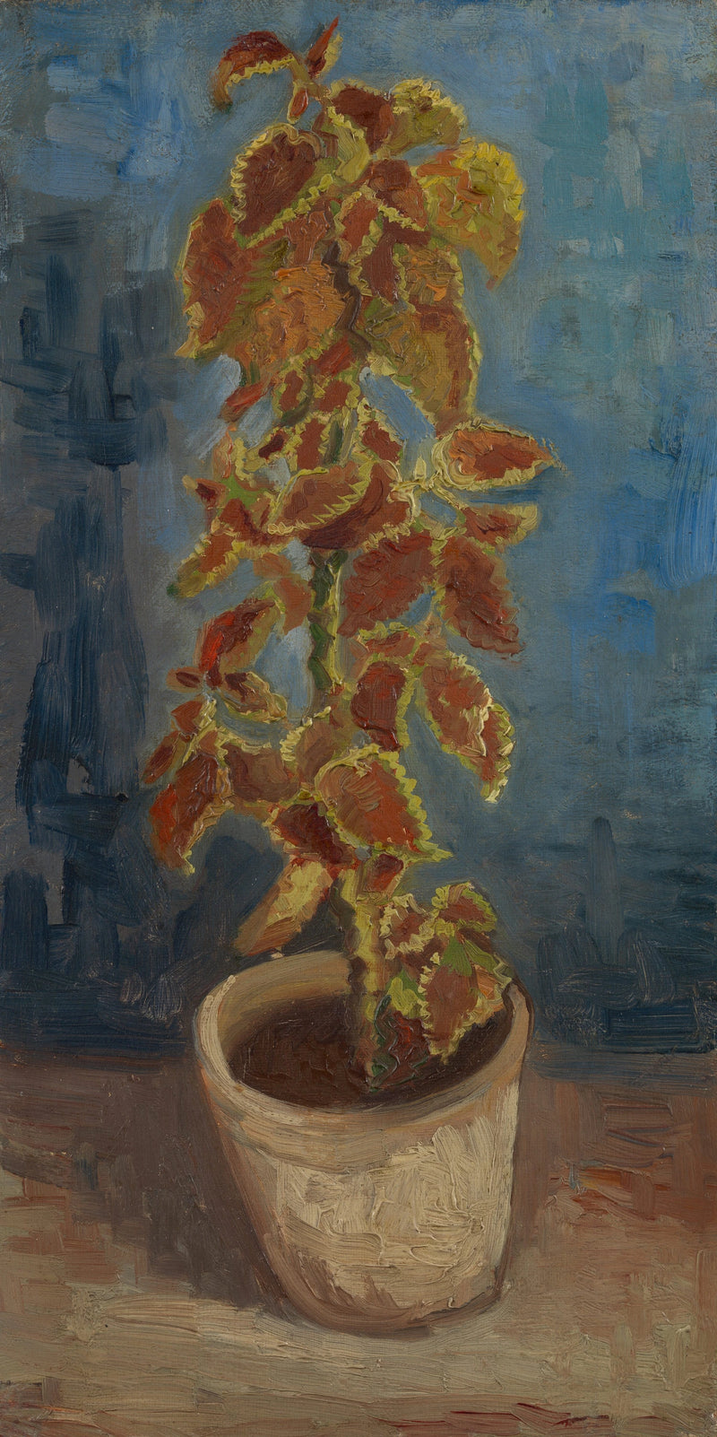 Saksıda Alevli Isırgan - Vincent van Gogh