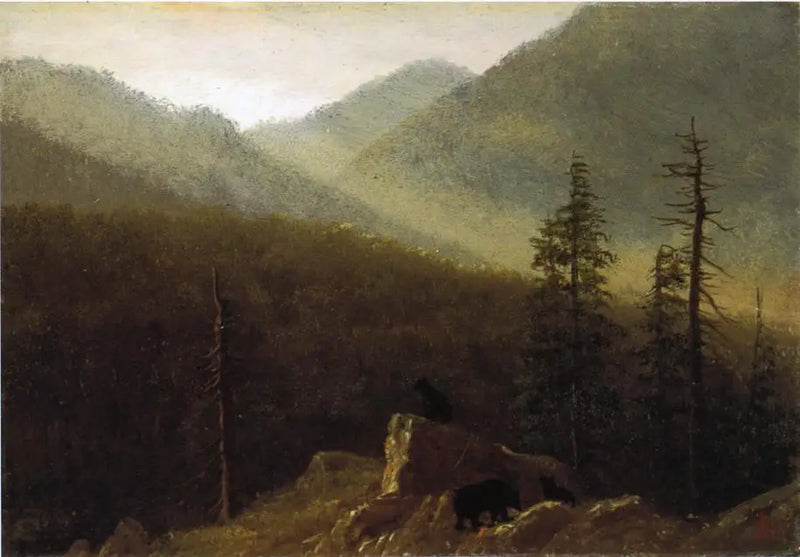 Doğada ayı - Albert Bierstadt