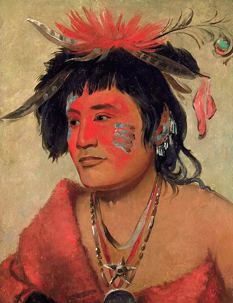 Pah-shee-náu-shaw, bir savaşçı - George Catlin