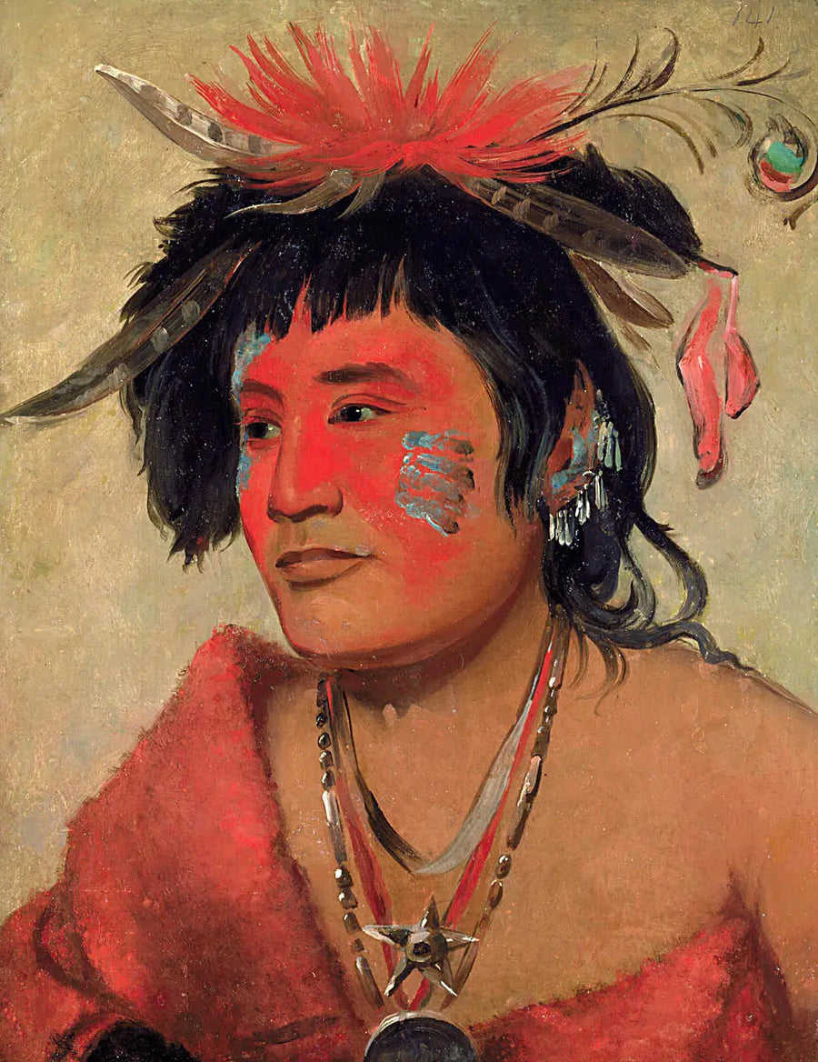 Pah-shee-náu-shaw, bir savaşçı - George Catlin