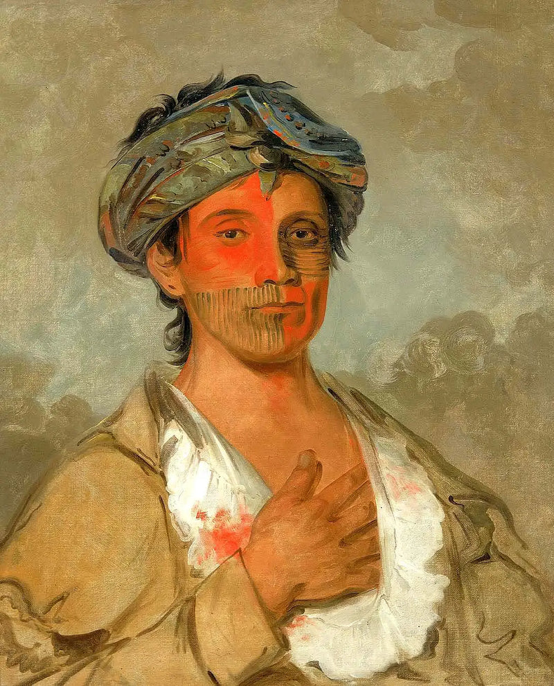 Pah-te-cóo-saw, hetero erkek, yarı-medeni - George Catlin