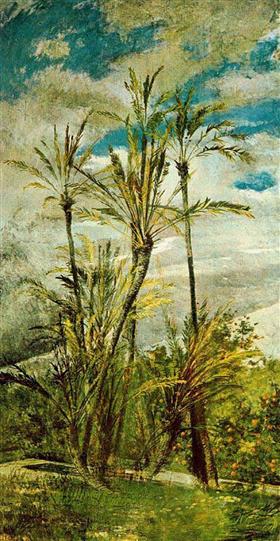 Palmiye ve portakal ağaçları. Falconiera duvar resmi - Giovanni Boldini