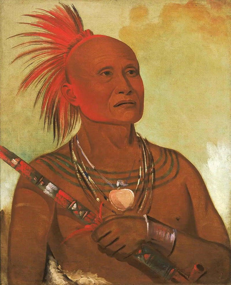 Pam-a-hó, yüzücü, Black Hawk savaşçılarından biri - George Catlin