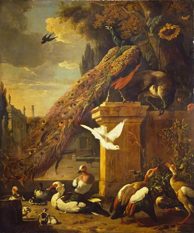 Paonlar ve ördekler - Melchior de Hondecoeter