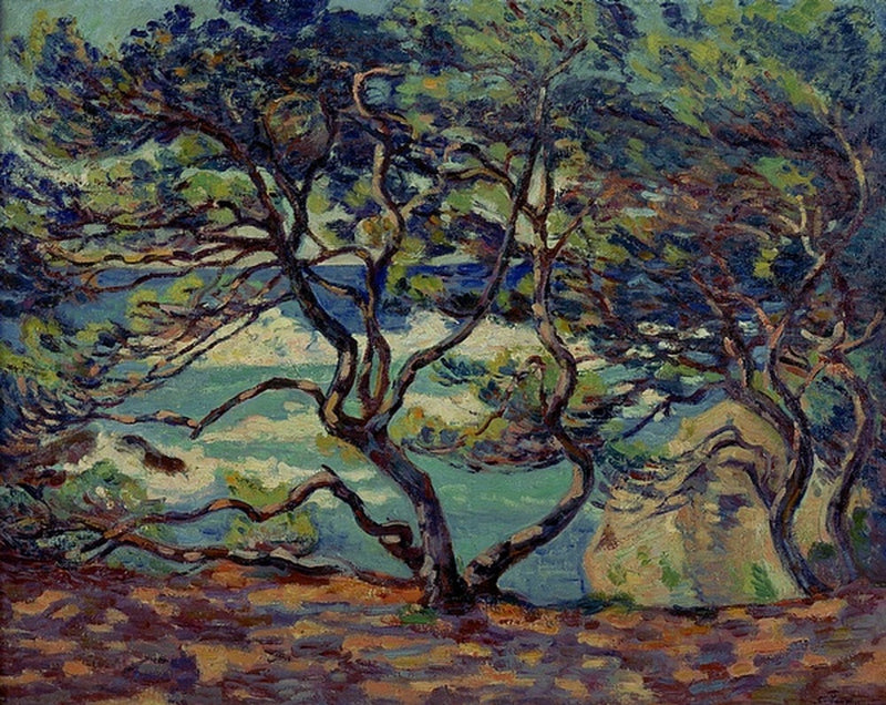 Parasol Le Pin, Le Brusc, Toulon çevresi - Armand Guillaumin