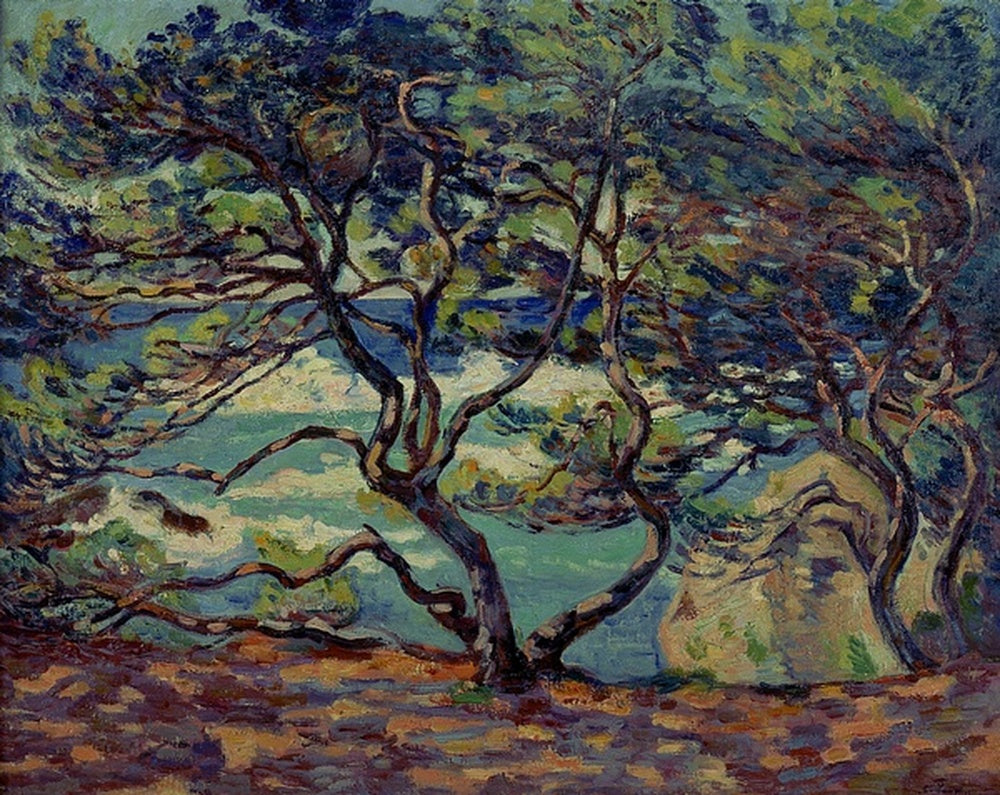 Parasol Le Pin, Le Brusc, environs de Toulon - Armand Guillaumin