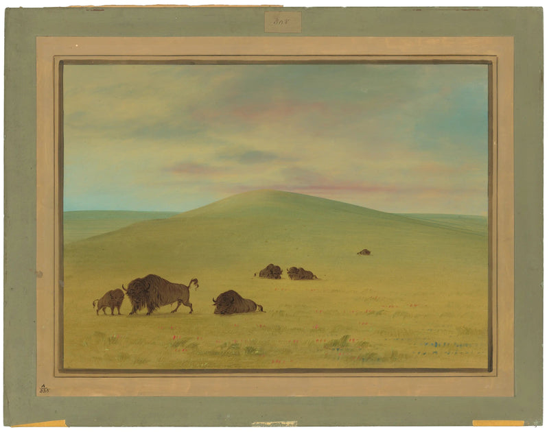 Amerikan Çayırları - Platte Ovası - George Catlin