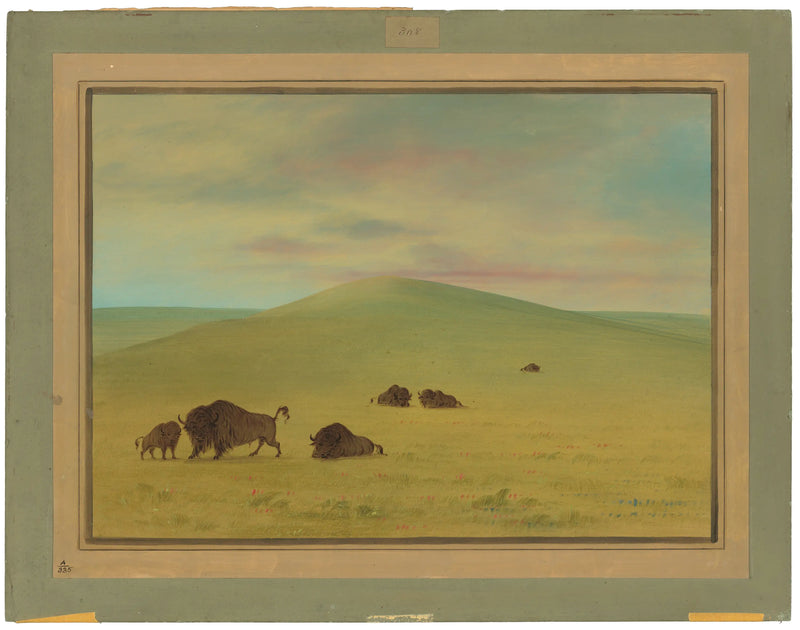 Amerikan Çayırları - Platte Ovası - George Catlin
