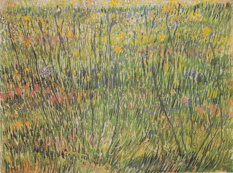 Çiçek Açan Çayır - Vincent van Gogh