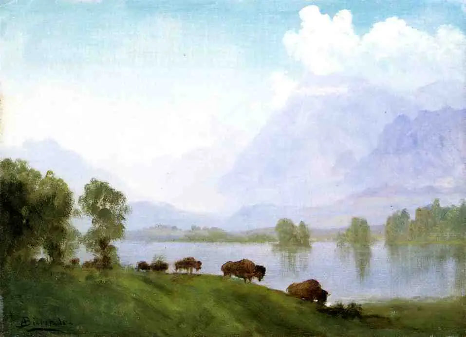 Pays des bisons - Albert Bierstadt - Alpha Reproduction