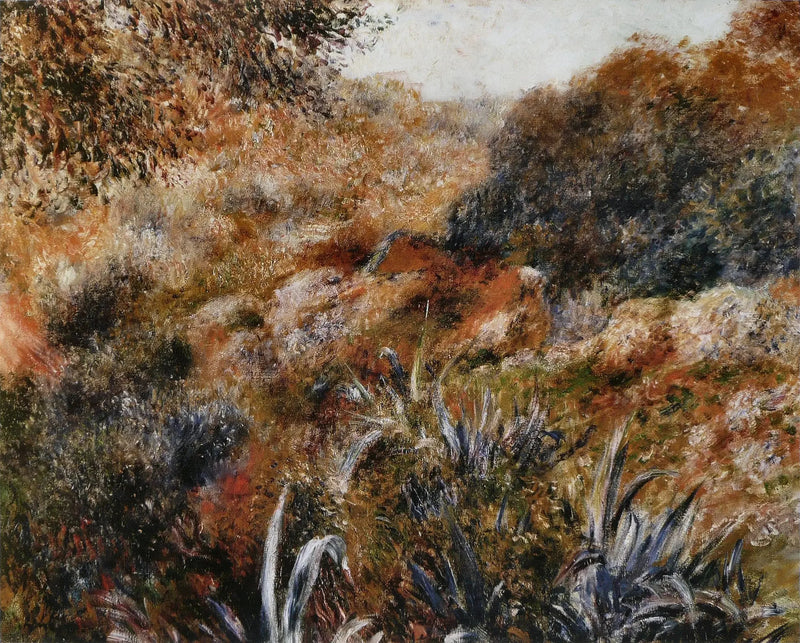 Cezayir Manzarası, Vahşi Kadının Kanyonu - Pierre-Auguste Renoir