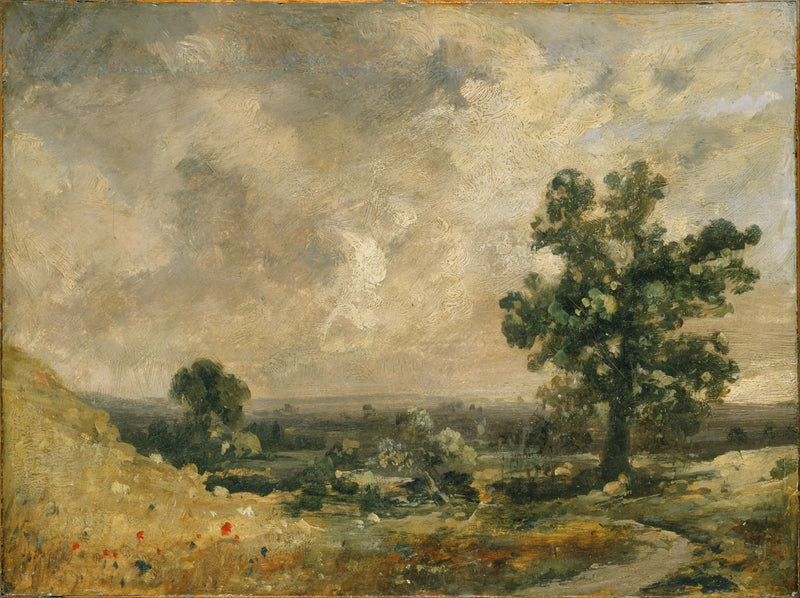 İngiliz Manzarası - John Constable