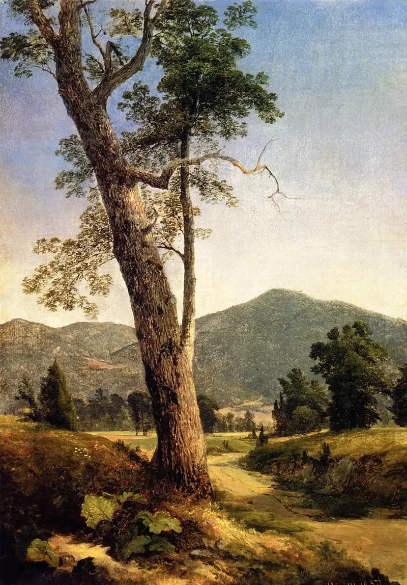 Ağaçların Ötesinde Manzara - Asher Brown Durand