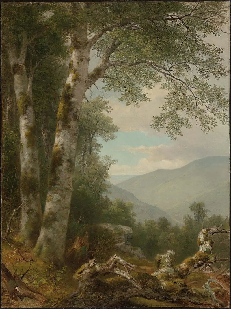Kuzey Manzarası, Ihlamur Ağaçları ile - Asher Brown Durand