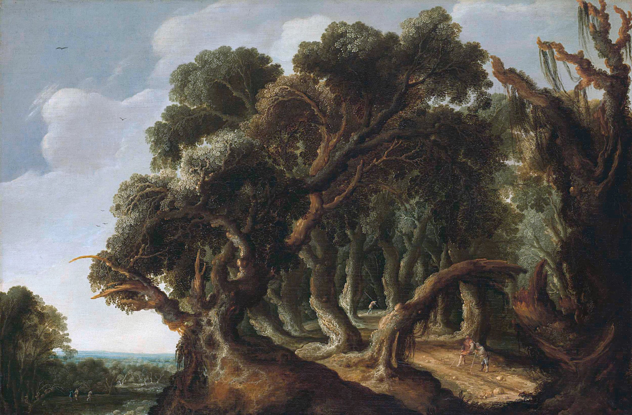 Paysage forestier - Jacob Jacobsz van Geel