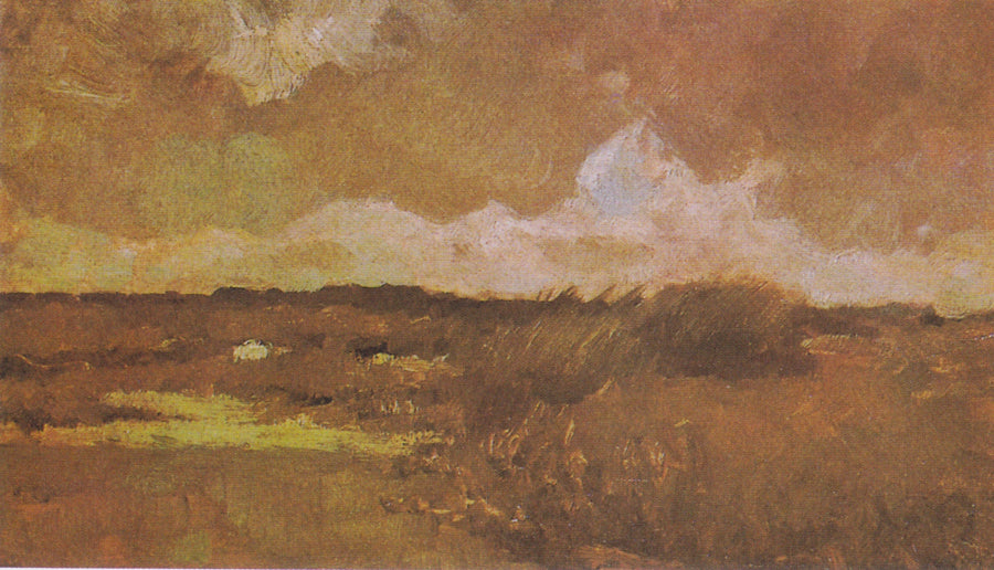 Bataklık Manzarası - Vincent van Gogh