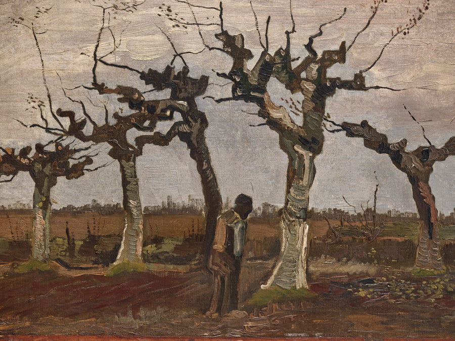 Salkım Söğütlerle Manzara - Vincent van Gogh