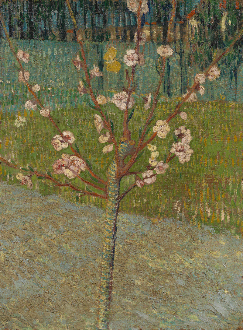 Çiçek açan balık tutma - Vincent van Gogh