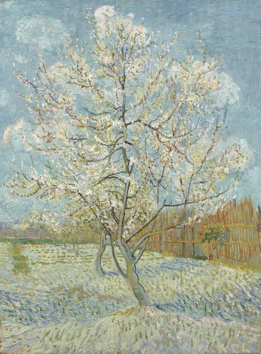 Pembe Şeftali Ağacı - Vincent van Gogh