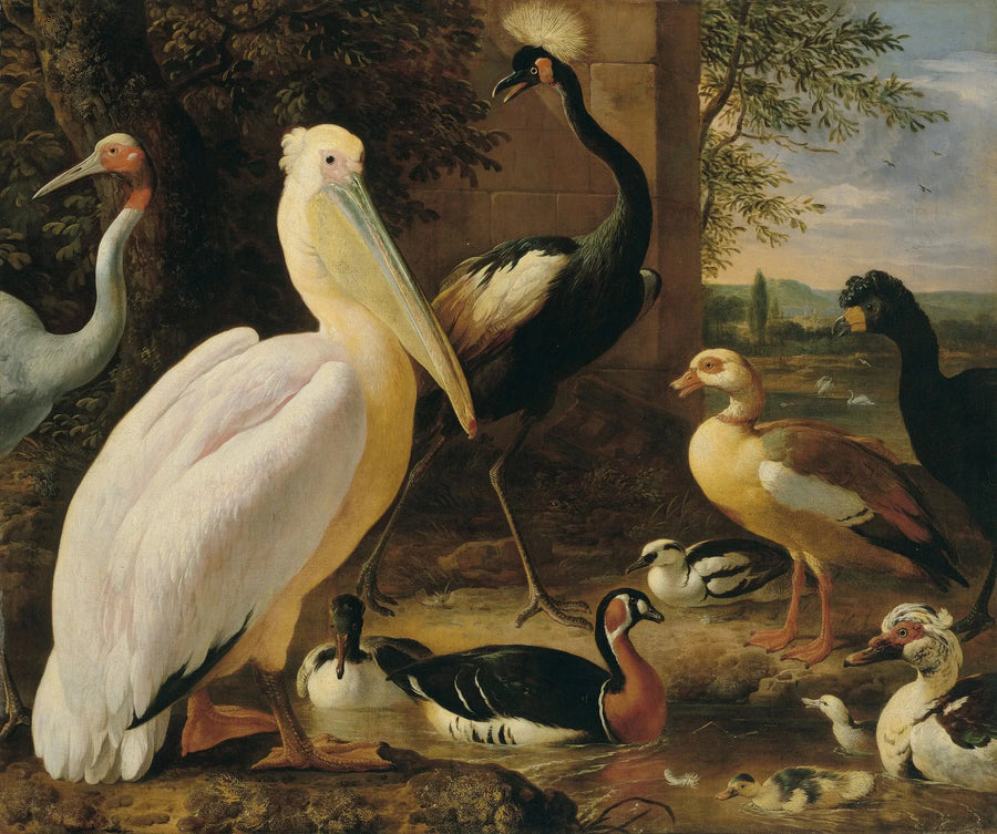Pelikan, taçlı turna, hocco, antigone turnası ve su manzarasında ördekler - Melchior de Hondecoeter