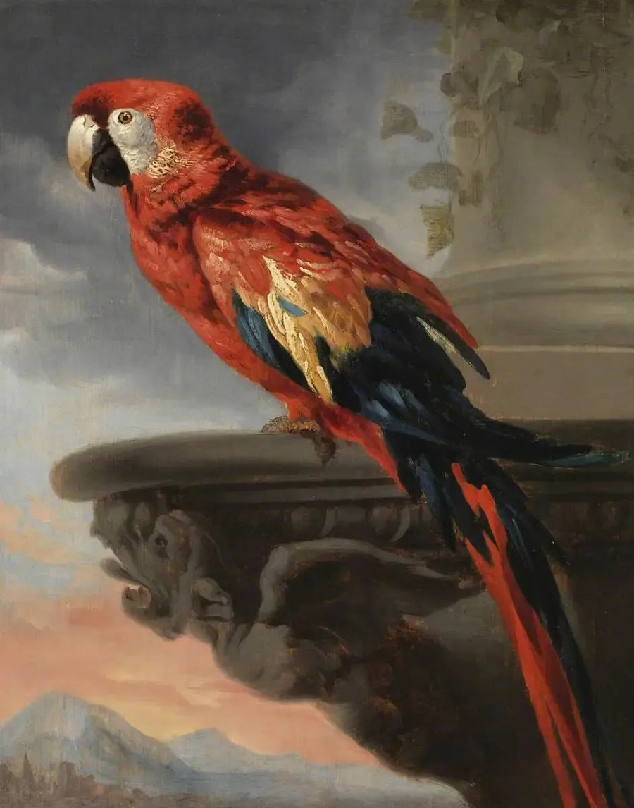Papağan - Peter Paul Rubens
