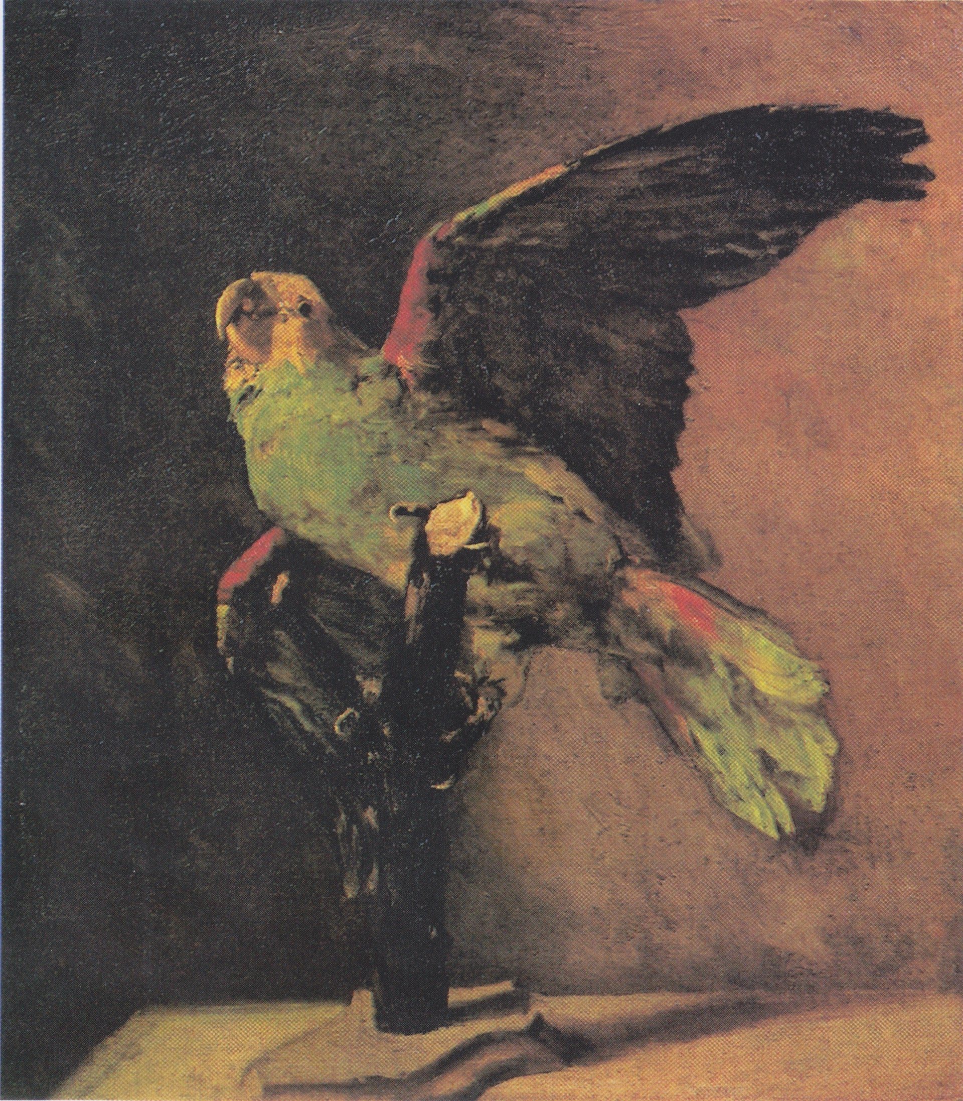Le Perroquet vert F14 — étude d’oiseau traditionnellement attribuée à Vincent van Gogh