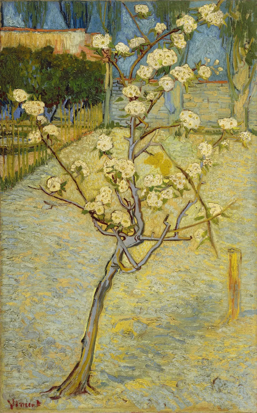 Çiçek Açan Küçük Armut Ağacı - Vincent van Gogh