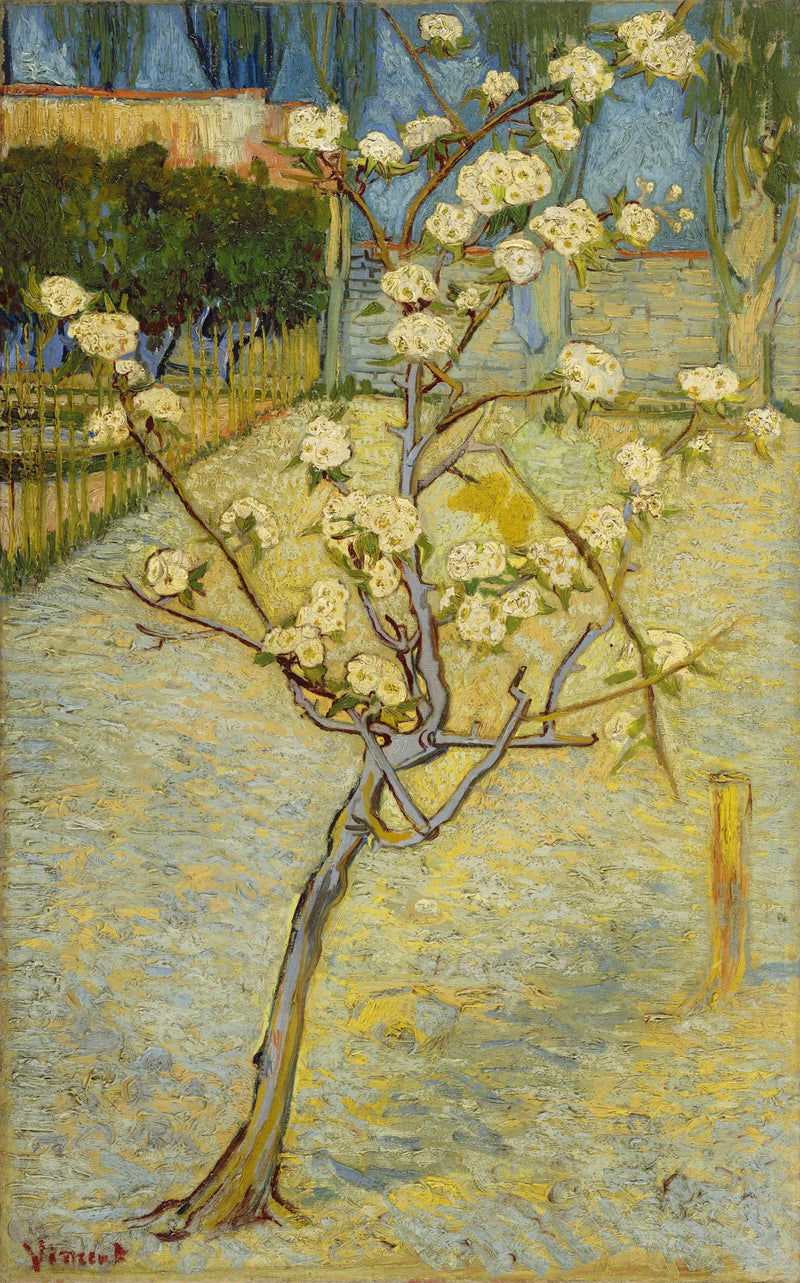 Çiçek Açan Küçük Armut Ağacı - Vincent van Gogh
