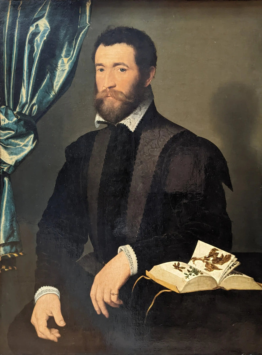 Pierre Quthe, eczacı - François Clouet