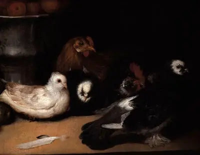 Güvercinler ve Kanatlı Hayvanlar - Francisco de Goya