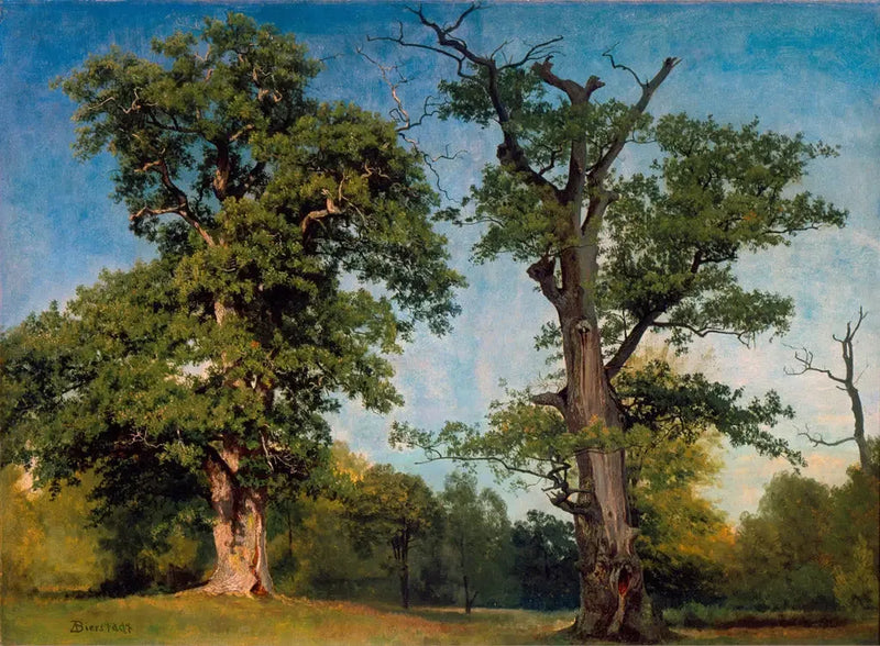 Ormanların öncüleri, Kaliforniya - Albert Bierstadt