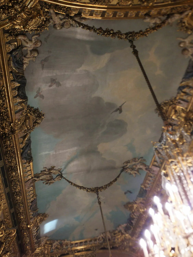 Plafond : ciel avec vol d'oiseaux - Eugène Appert