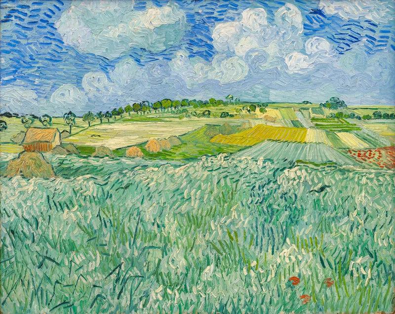 Auvers yakınlarındaki ova - Vincent van Gogh