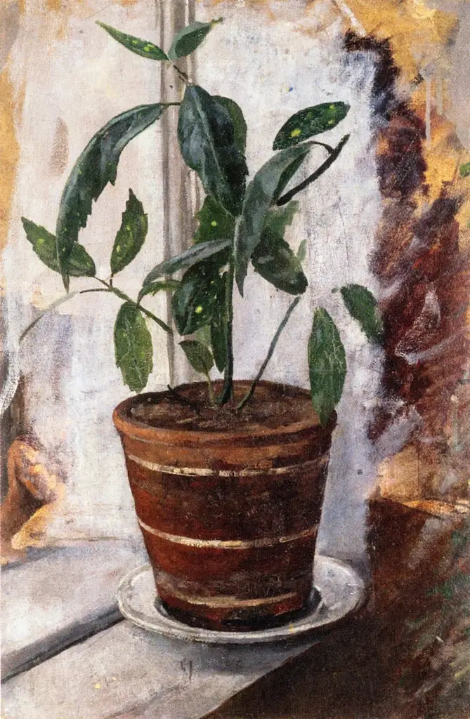Penceredeki saksı bitkisi - Edvard Munch