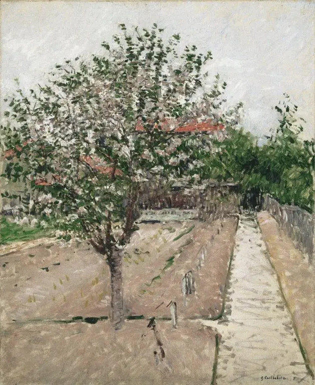 Çiçek Açmış Elma Ağacı - Gustave Caillebotte