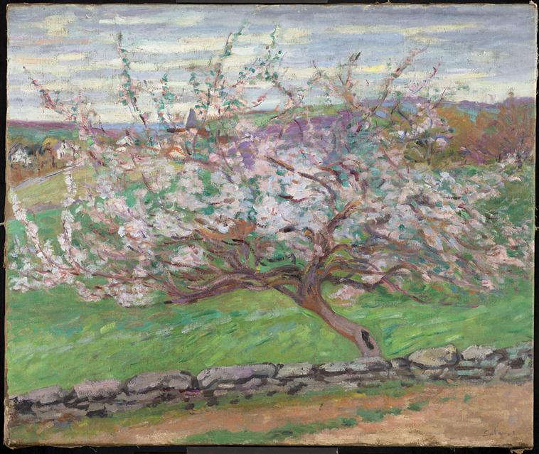 Pommiers en fleurs - Armand Guillaumin