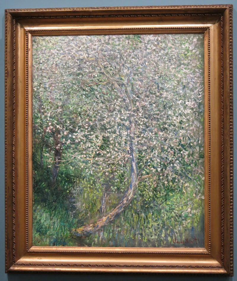 Su kenarında çiçek açan elma ağacı W585 - Claude Monet
