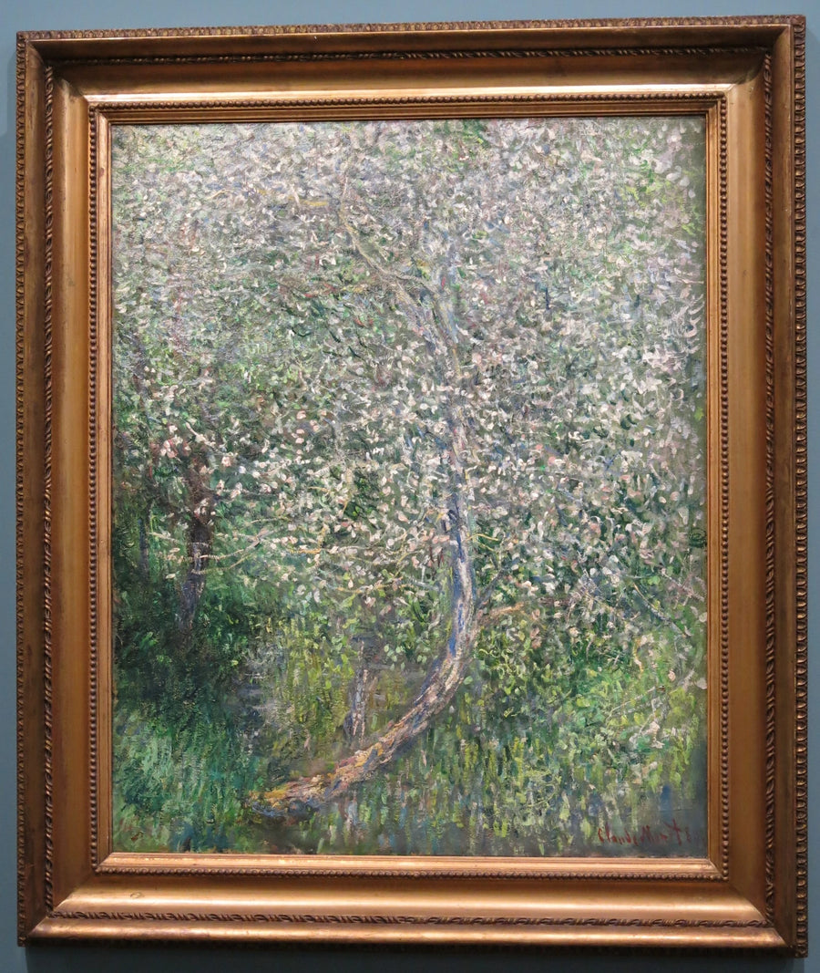 Suyun kenarındaki çiçek açan elma ağaçları - Claude Monet