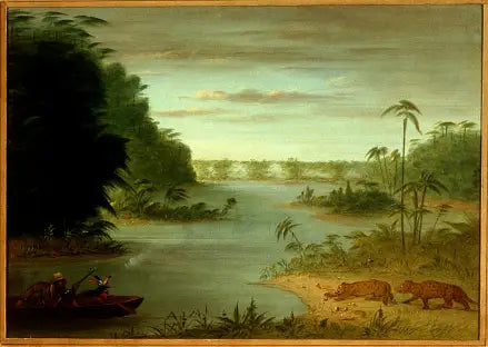 Pont de Palmiers et Tir au Tigre - George Catlin - Alpha Reproduction