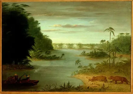 Palmiyer Köprüsü ve Kaplan Atışı - George Catlin