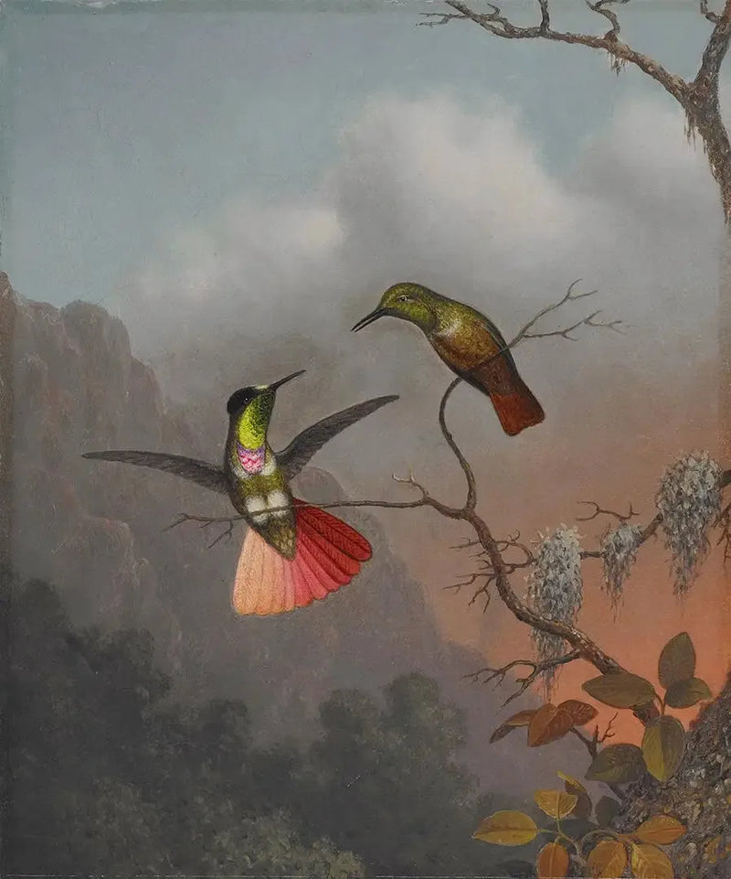 Kapüşonlu vizör taşıyıcı - Martin Johnson Heade