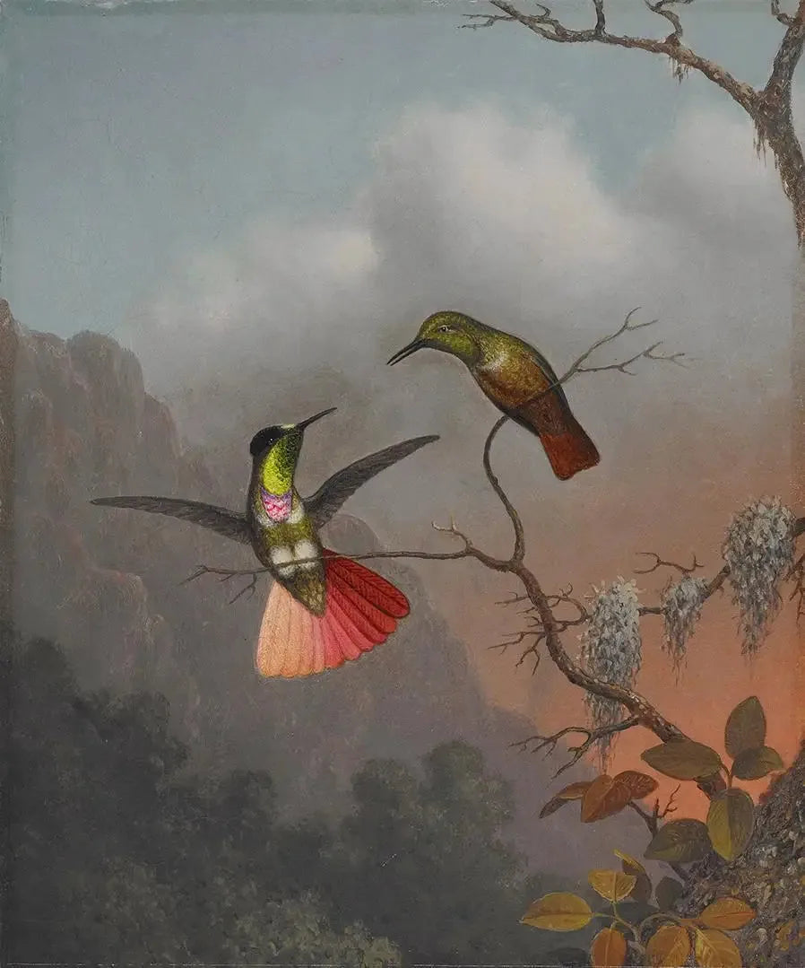 Kapüşonlu vizör taşıyıcı - Martin Johnson Heade